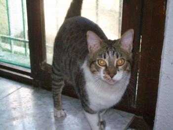 Franky Bild von Franky
