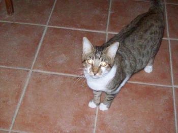 Sammy Bild von Sammy