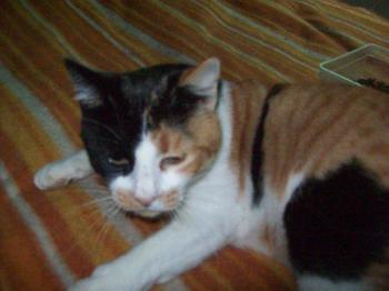 Trinchen Bild von Trinchen