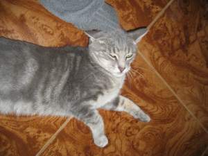 Deborah Bild von Deborah