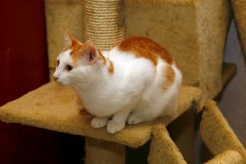 Franny Bild von Franny