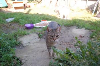 Migoya Bild von Migoya