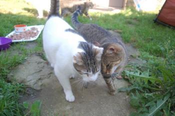 Migoya Bild von Migoya