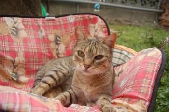 Migoya Bild von Migoya