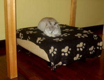 Keops Bild von Keops