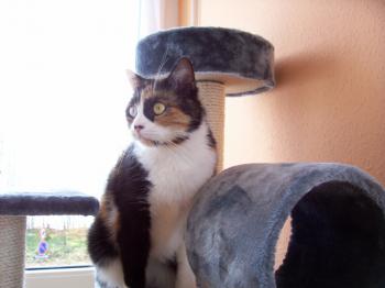 Momo Bild von Momo