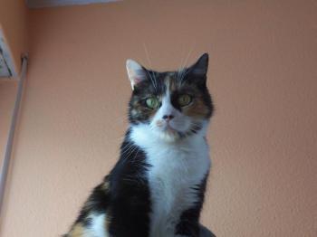 Momo Bild von Momo