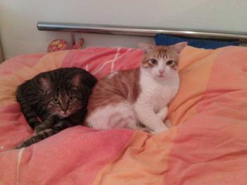 Milow Bild von Milow