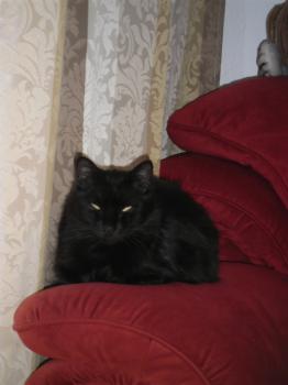 Bild von Leila