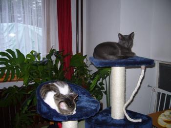 Pakito Bild von Pakito