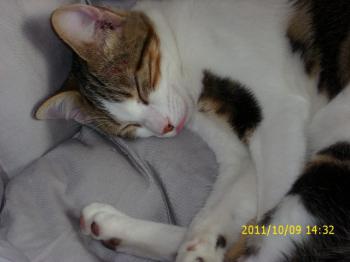 Paco Bild von Paco