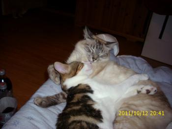 Paco Bild von Paco