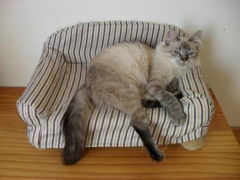 Milagritos Bild von Milagritos