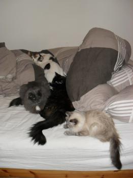 Milagritos Bild von Milagritos