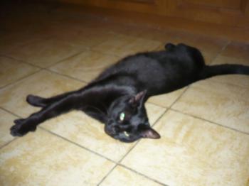 Kiti Bild von Kiti