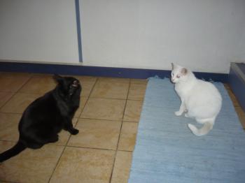 Kiti Bild von Kiti