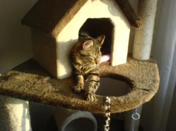 Pepa Bild von Pepa