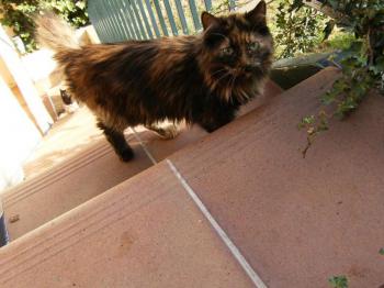 Minnie Bild von Minnie