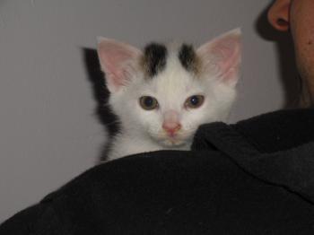 Ohne Namen Bild von Latisha