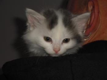 Ohne Namen Bild von Amilia