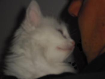 Ohne Namen Bild von Amilia