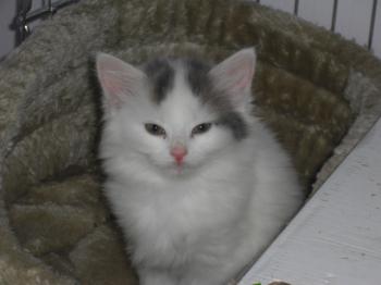 Ohne Namen Bild von Amilia