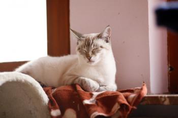 Kira Bild von Kira