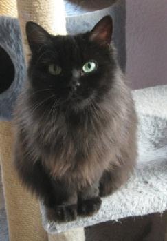 Alice Bild von Alice