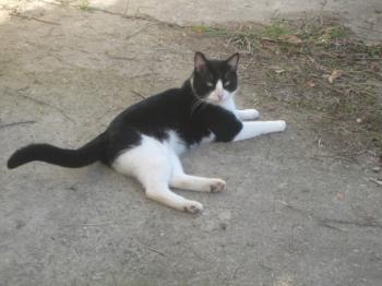 Tobi Bild von Tobi