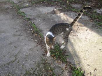 Miron Bild von Miron