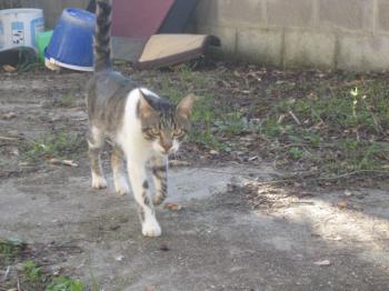 Miron Bild von Miron