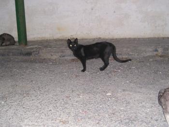 Telma Bild von Telma