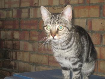 Noch Namenlos Bild von Lulu