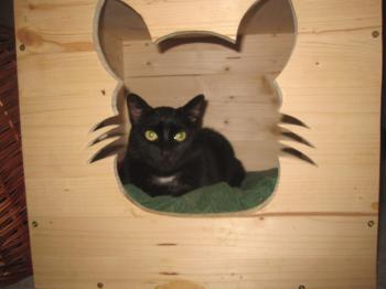 Bild von Sally