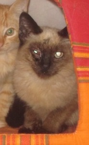 Ohne Namen 4634 Bild von Missy