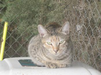 Suzette Bild von Suzette