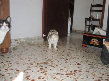Cara Bild von Cara