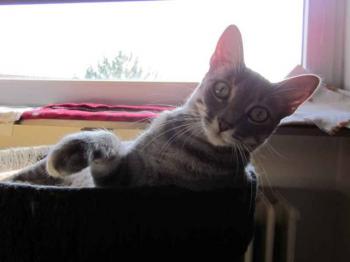 Amica-Molly Bild von Amica-Molly