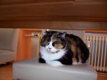 Momo Bild von Momo