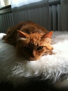 Vivian Bild von Vivian