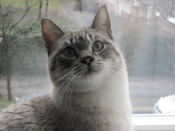 Bild von Tino