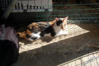 Anika Bild von Anika