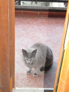 Lumen Bild von Lumen