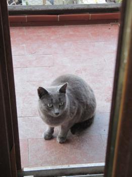 Lumen Bild von Lumen