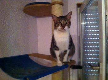 Franky Bild von Franky