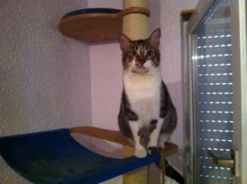 Franky Bild von Franky