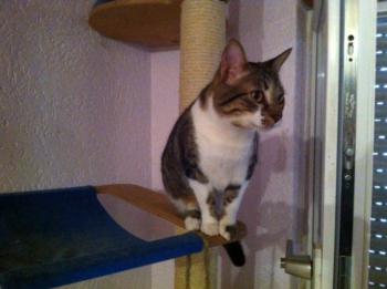 Franky Bild von Franky