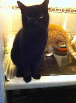 Salem Bild von Salem
