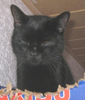 Salem Bild von Salem