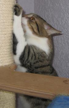 Franky Bild von Franky